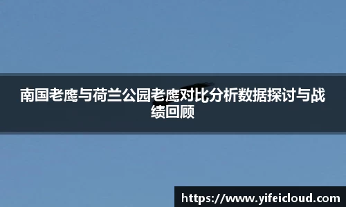 南国老鹰与荷兰公园老鹰对比分析数据探讨与战绩回顾